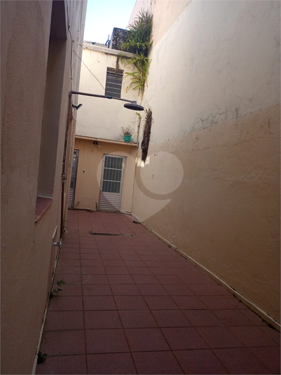 Foto REO1095518