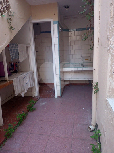 Foto REO1095518