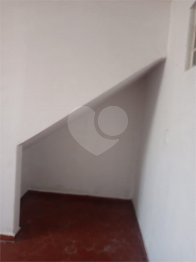 Foto REO1095518