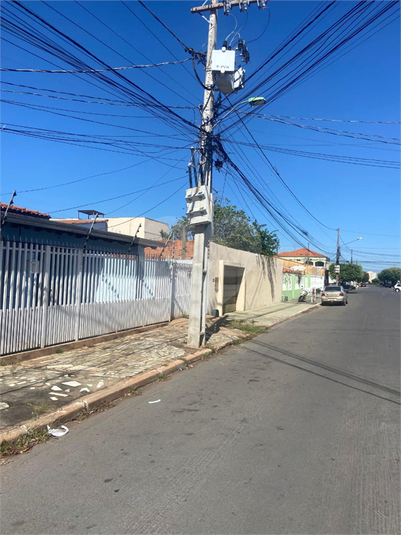 Foto REO1095519