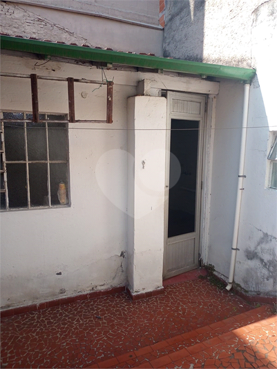 Foto REO1095520