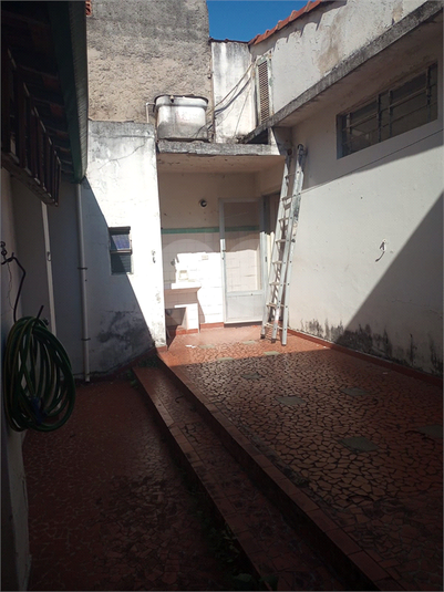 Foto REO1095520