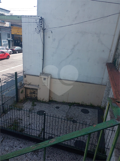 Foto REO1095520