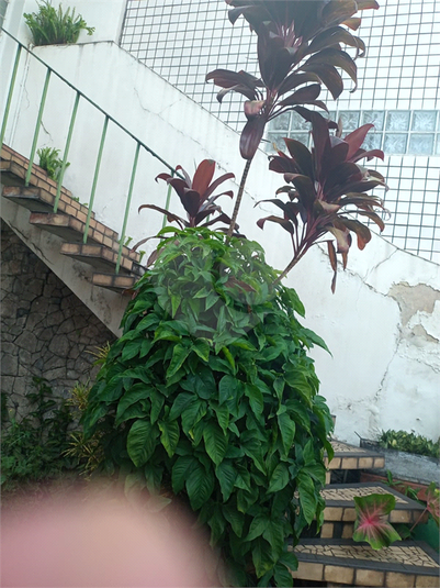 Foto REO1095520