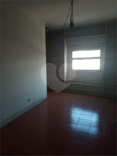 Foto REO1095520