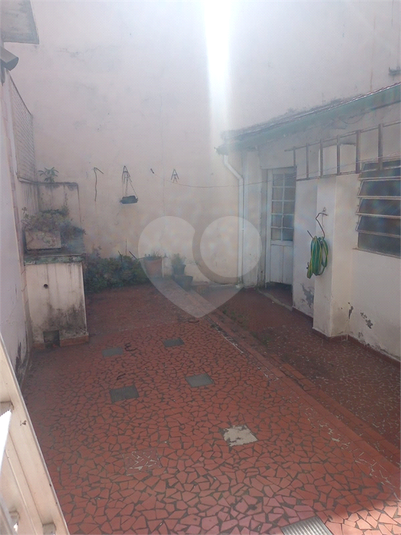 Foto REO1095520