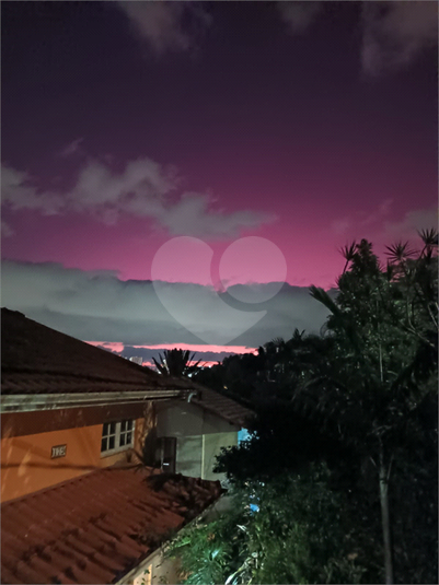 Foto REO1095541