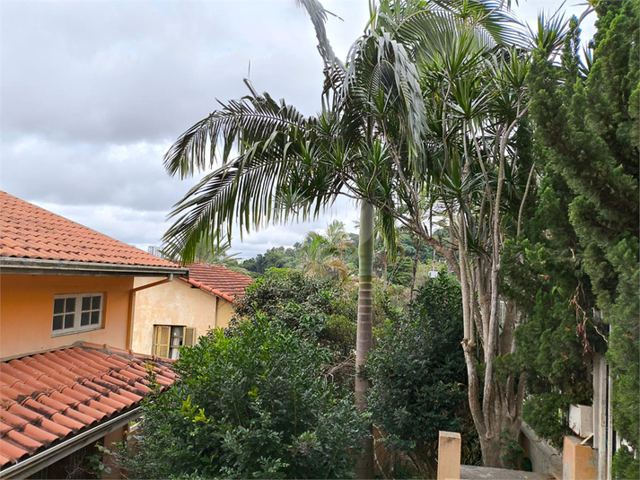 Foto REO1095541