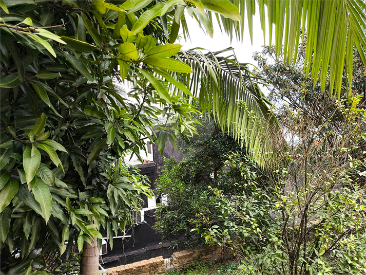 Foto REO1095541