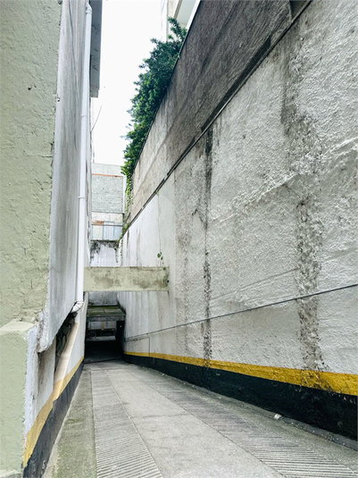 Foto REO1095546