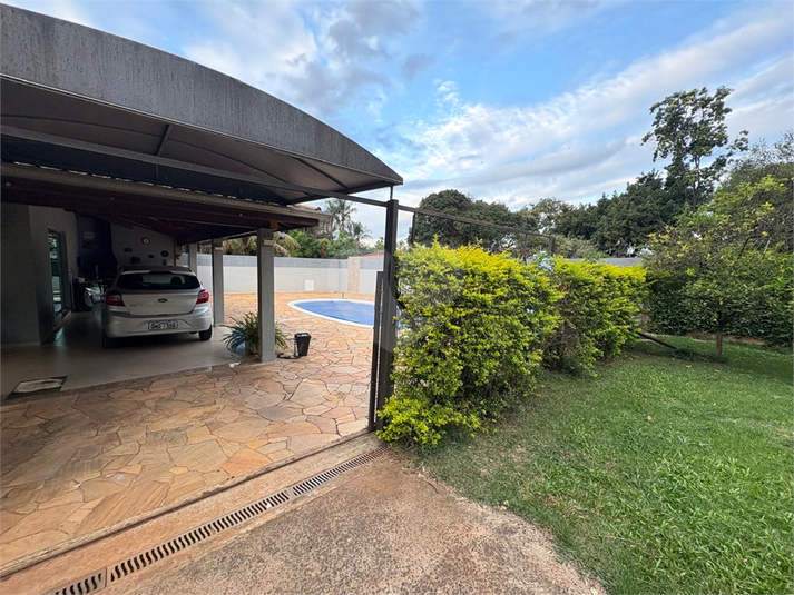 Foto REO1095552