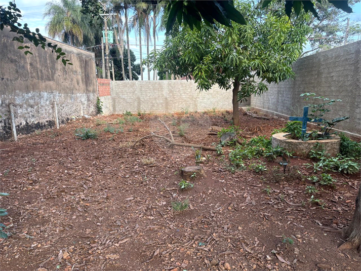 Foto REO1095552