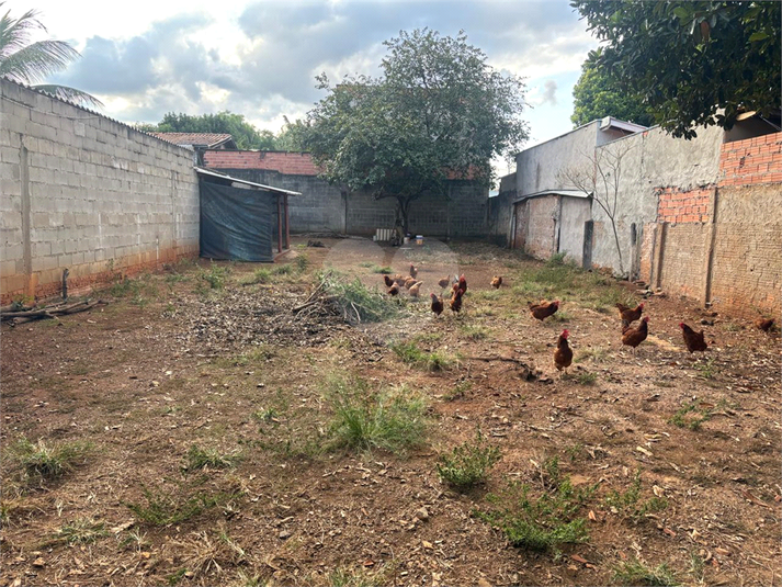 Foto REO1095552