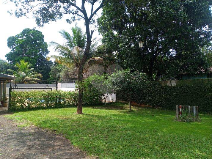 Foto REO1095552