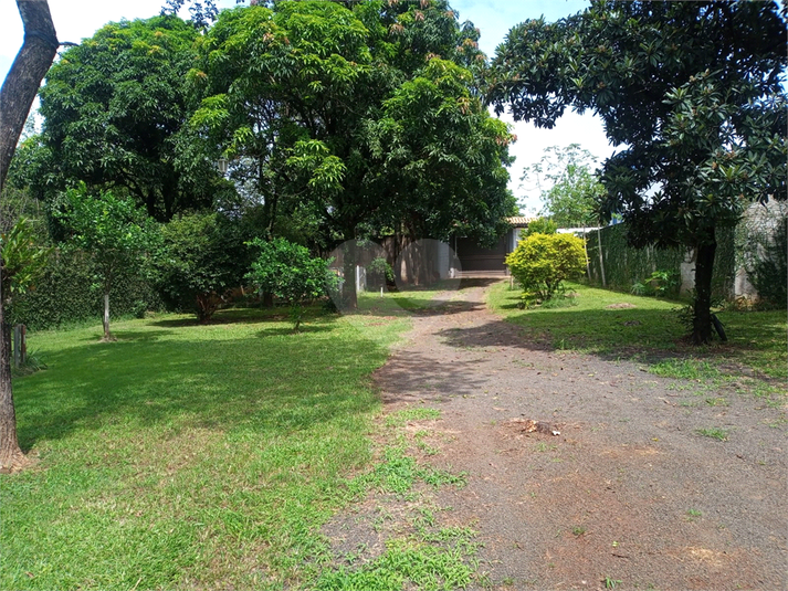 Foto REO1095552