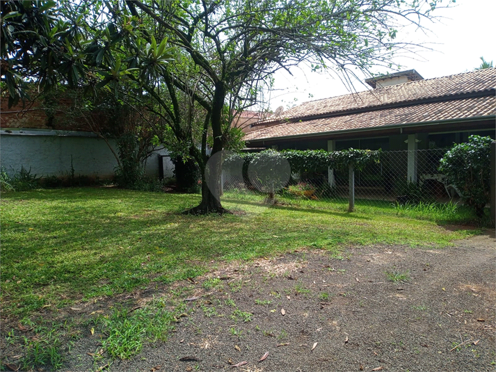Foto REO1095552