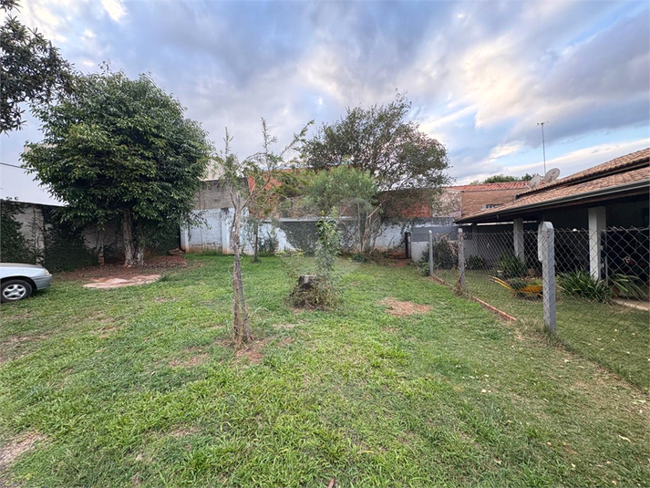 Foto REO1095552