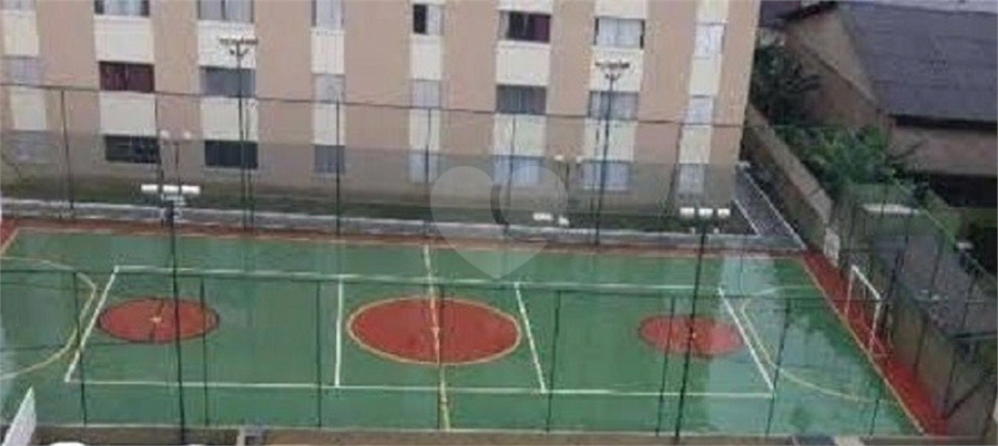 Foto REO1095554