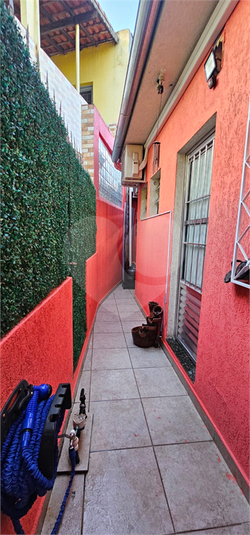 Foto REO1095570