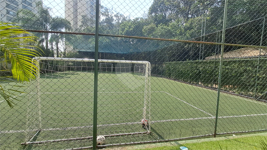 Foto REO1095578