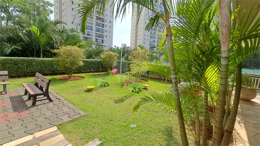Foto REO1095578