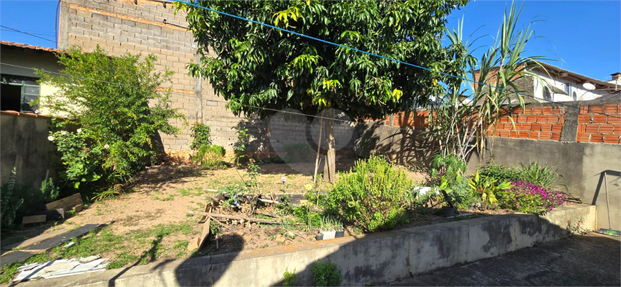 Foto REO1095597
