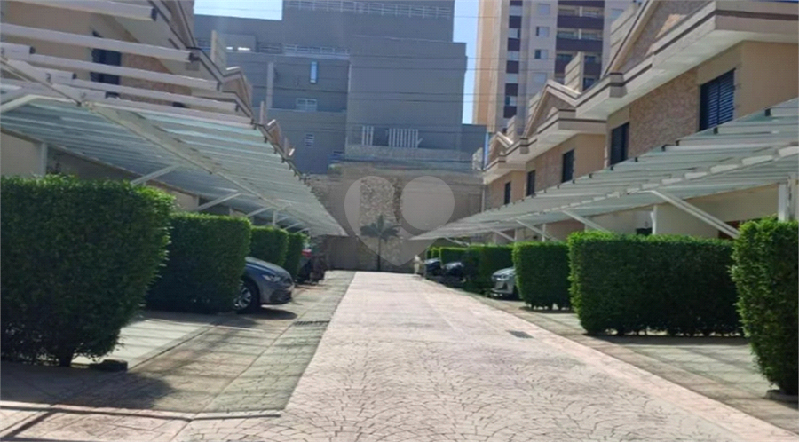 Foto REO1095598