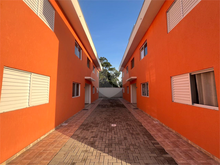 Foto REO1095606