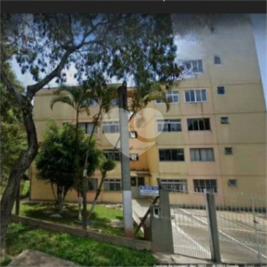 Foto REO1095607