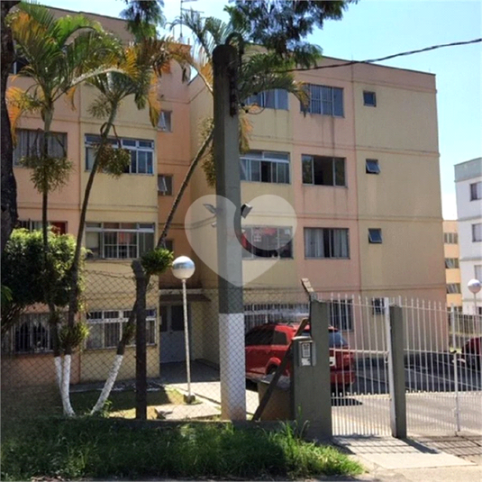 Foto REO1095607