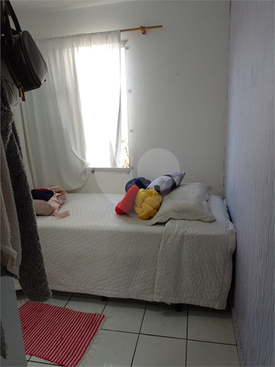 Foto REO1095607