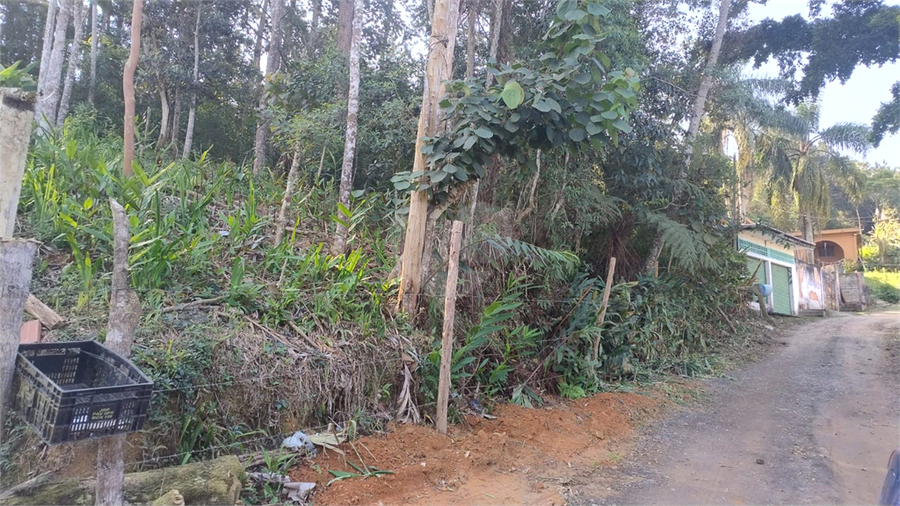 Foto REO1095618
