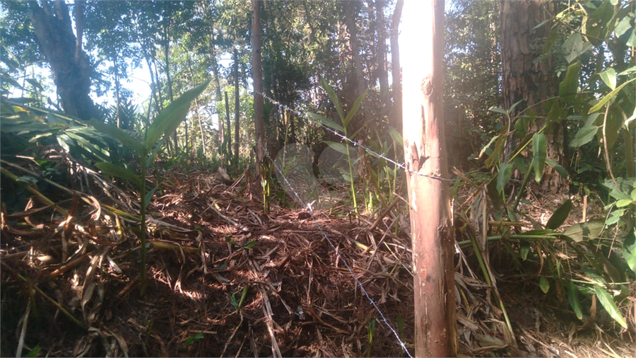 Foto REO1095618