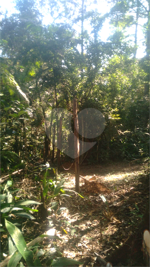 Foto REO1095618