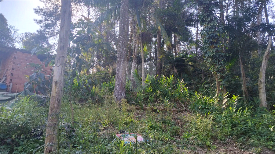 Foto REO1095618