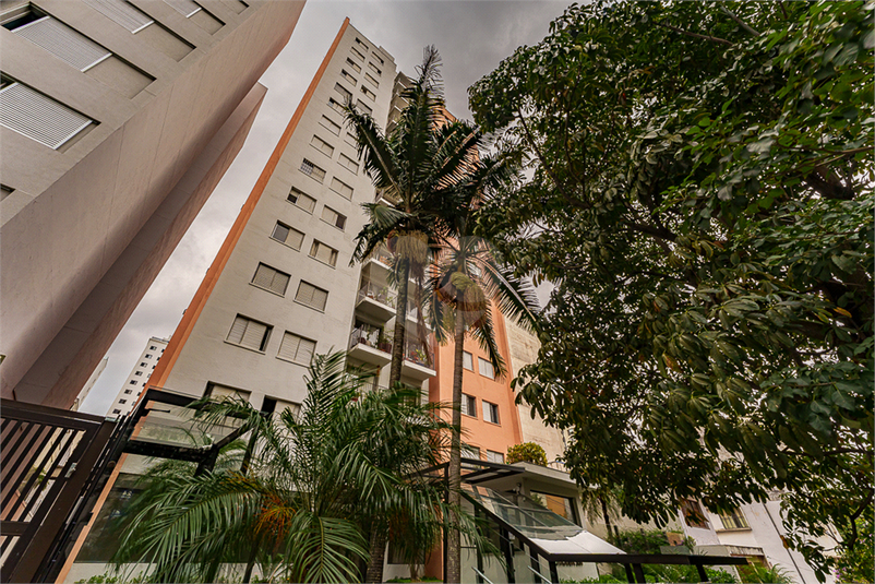 Foto REO1095651