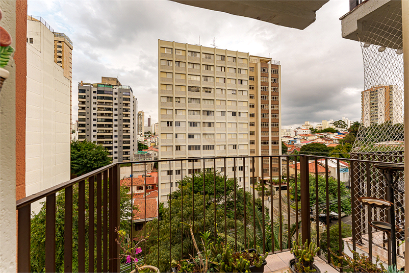Foto REO1095651
