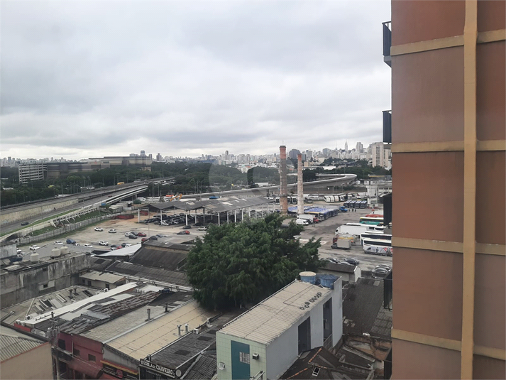 Foto REO1095653