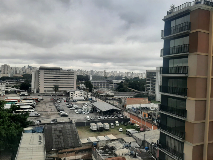 Foto REO1095654