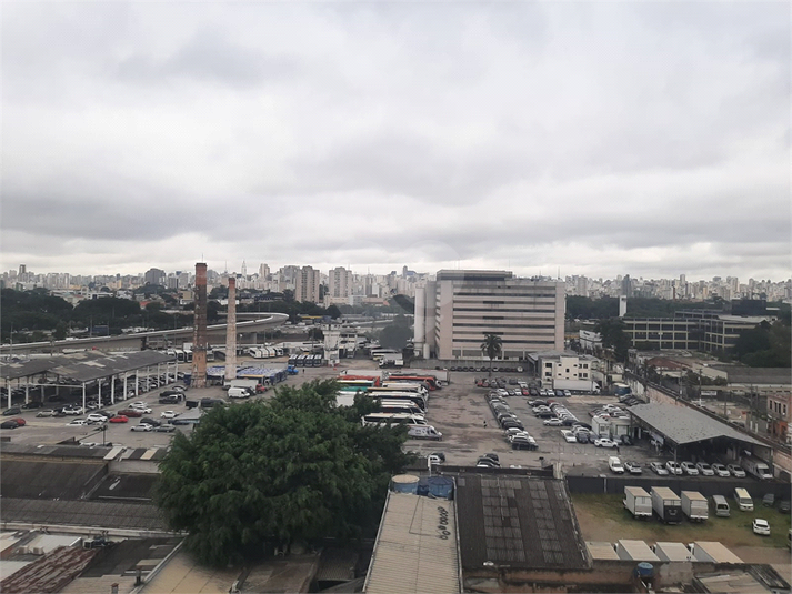 Foto REO1095654