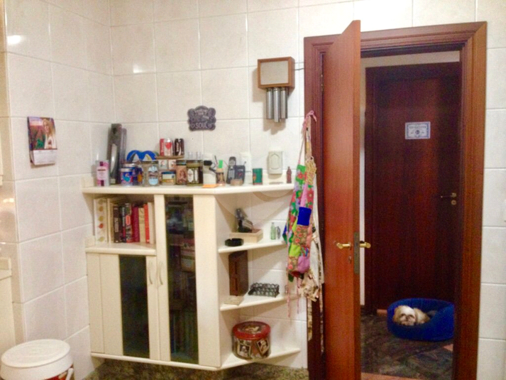 Foto REO1095658