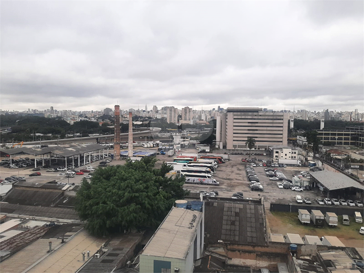Foto REO1095659