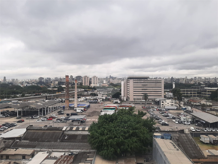 Foto REO1095662