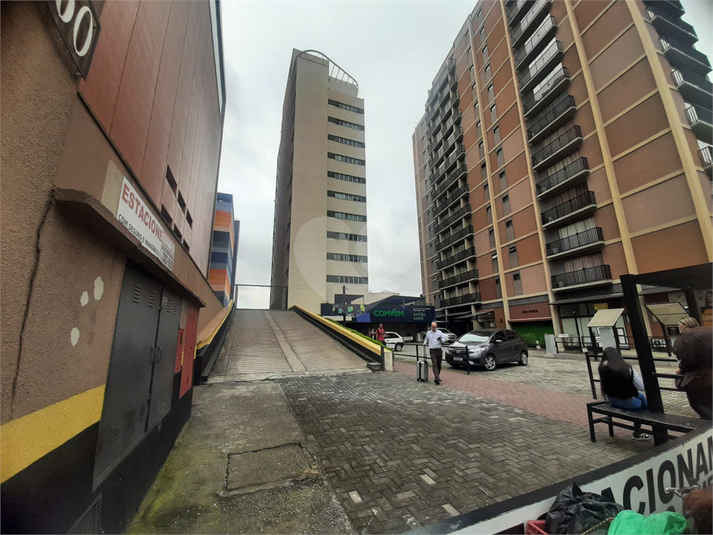 Foto REO1095662
