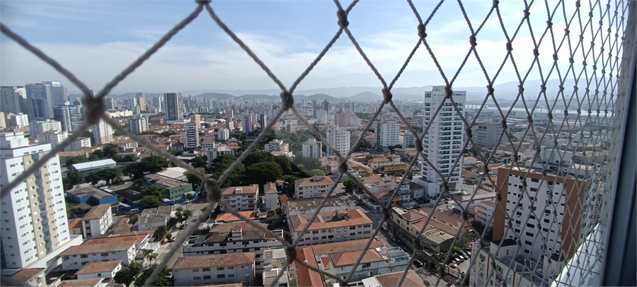 Foto REO1095668