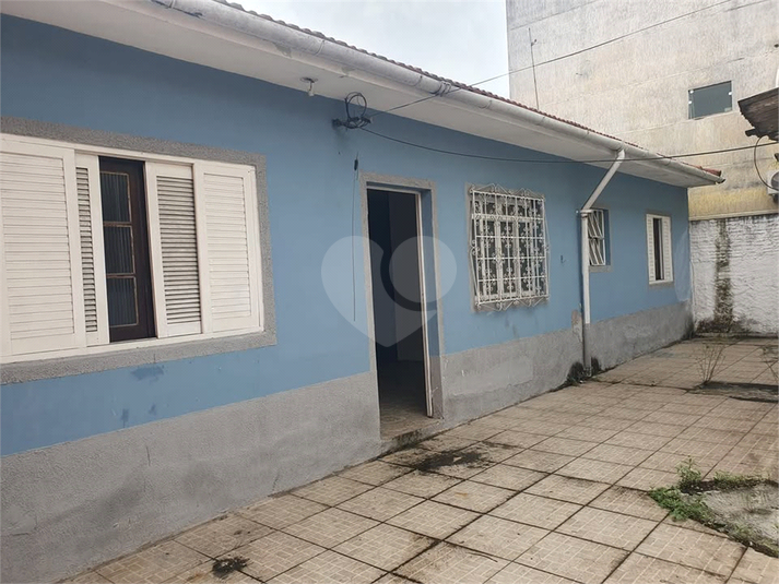 Foto REO1095669