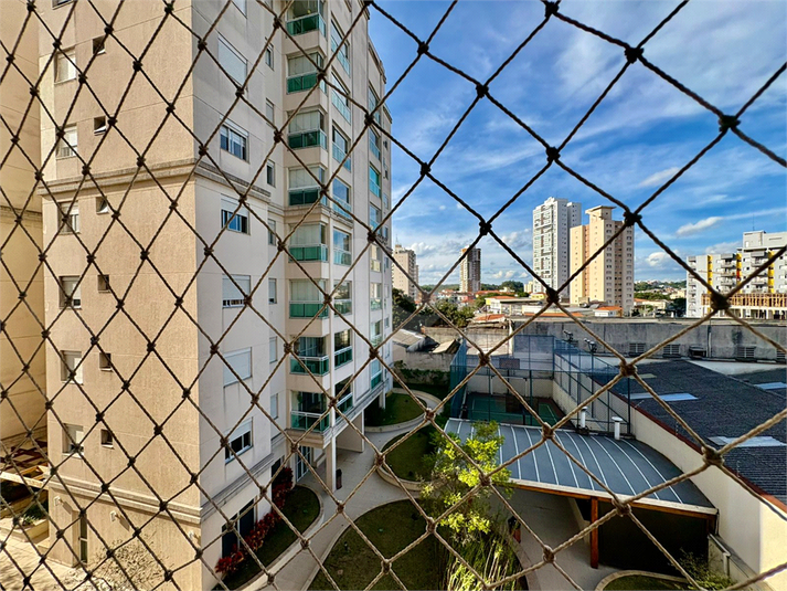 Foto REO1095671