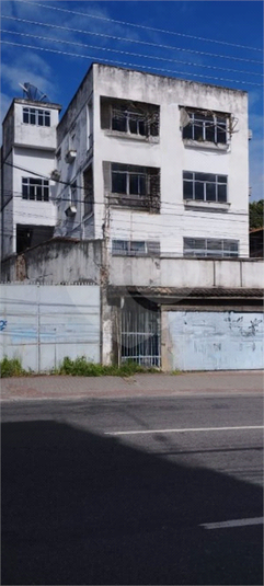 Foto REO1095685