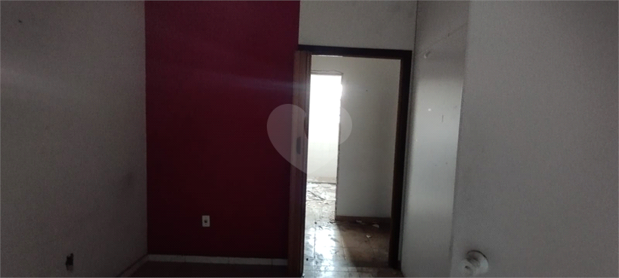 Foto REO1095685