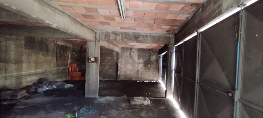 Foto REO1095685